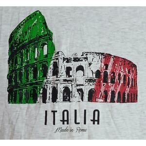 CLIQUE Rome Italy Colosseum Graphic T-Shirt Gray 3XL